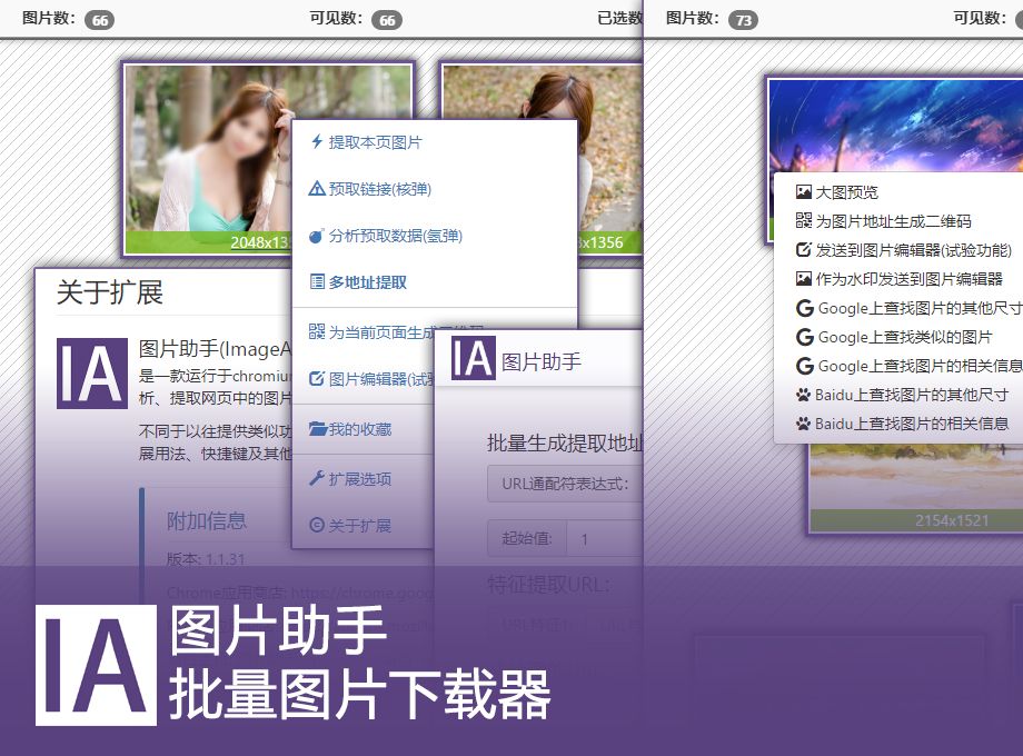 强大的网页图片下载助手(ImageAssistant),支持批量下载,解放双手!